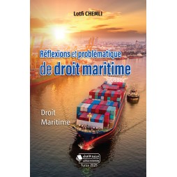 Réflexions et problématique...