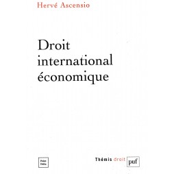 droit international économique